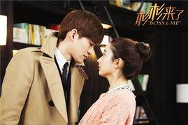 杉杉来了电视剧在线观看,甜蜜爱情与职场奋斗的温馨画卷