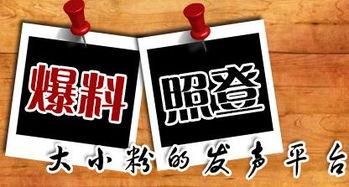 重庆高中爆料新闻,揭秘背后真相  第1张