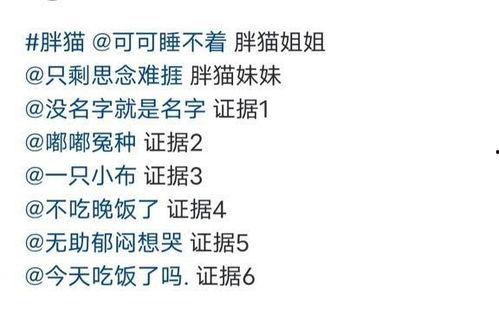 胖猫最新爆料网站,最新爆料网站深度解析  第2张